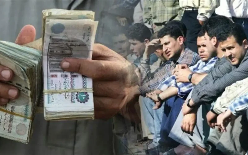 كيف تتأكد من استحقاقك لمعاش تكافل وكرامة 2026؟